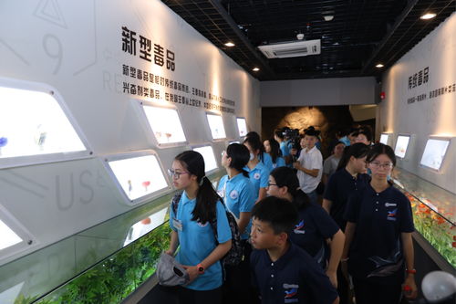 粵港澳大灣區禁毒文化交流活動在深圳舉行，以文化藝術助力禁毒宣傳