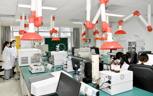 高質量發展進行時（十一） 濰坊醫學院醫教研協同，服務健康山東的實踐與探索